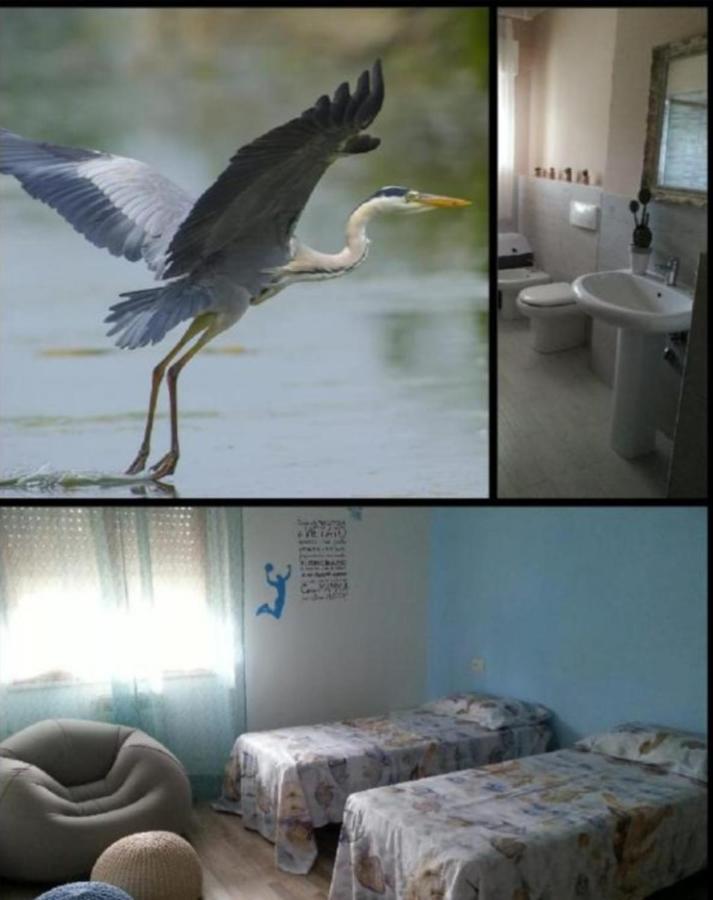 Apartmán I Tulipani Di Anna Castiglione del Lago Exteriér fotografie