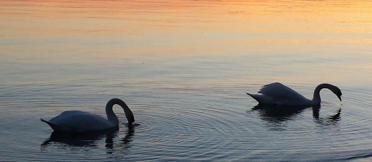 Apartmán I Tulipani Di Anna Castiglione del Lago Exteriér fotografie